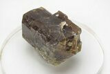 Lustrous Vesuvianite Crystal - Kayes Region, Mali #216843-1